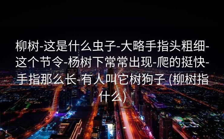 柳树-这是什么虫子-大略手指头粗细-这个节令-杨树下常常出现-爬的挺快-手指那么长-有人叫它树狗子 (柳树指什么)