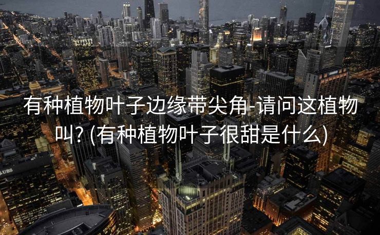 有种植物叶子边缘带尖角-请问这植物叫? (有种植物叶子很甜是什么)