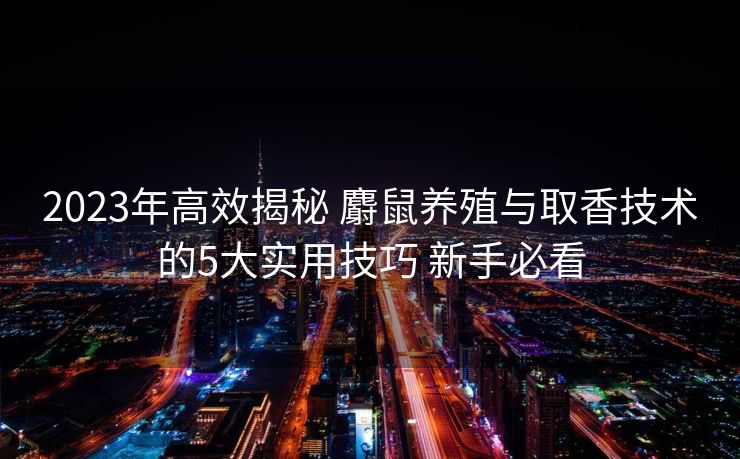 2023年高效揭秘 麝鼠养殖与取香技术的5大实用技巧 新手必看
