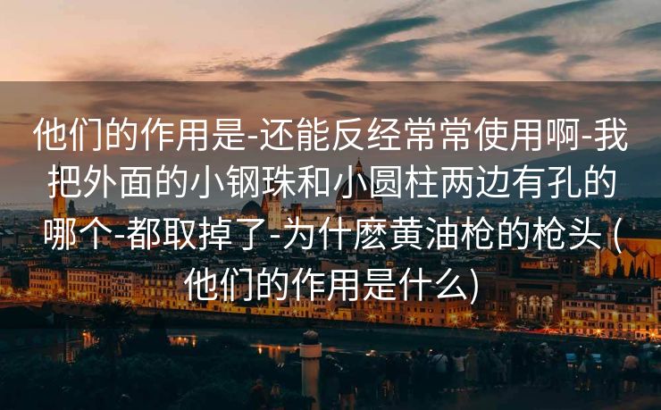 他们的作用是-还能反经常常使用啊-我把外面的小钢珠和小圆柱两边有孔的哪个-都取掉了-为什麽黄油枪的枪头 (他们的作用是什么)