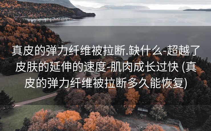 真皮的弹力纤维被拉断.缺什么-超越了皮肤的延伸的速度-肌肉成长过快 (真皮的弹力纤维被拉断多久能恢复)