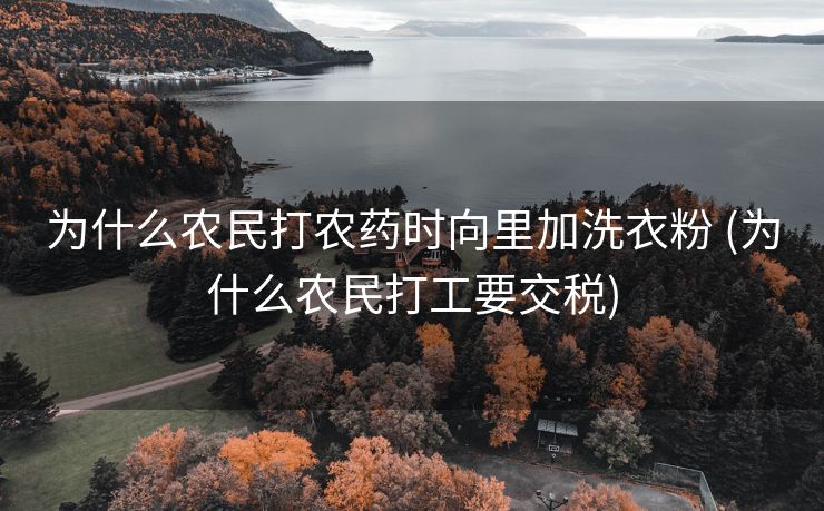 为什么农民打农药时向里加洗衣粉 (为什么农民打工要交税)