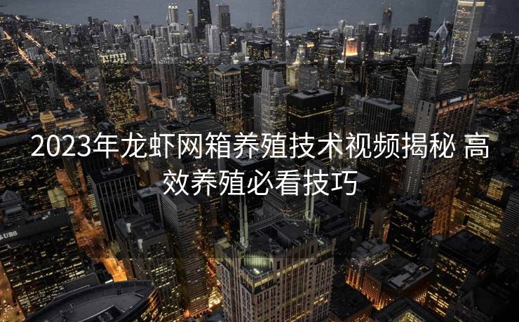 2023年龙虾网箱养殖技术视频揭秘 高效养殖必看技巧 2023年龙虾网箱养殖技术视频揭秘 高效养殖必看技巧