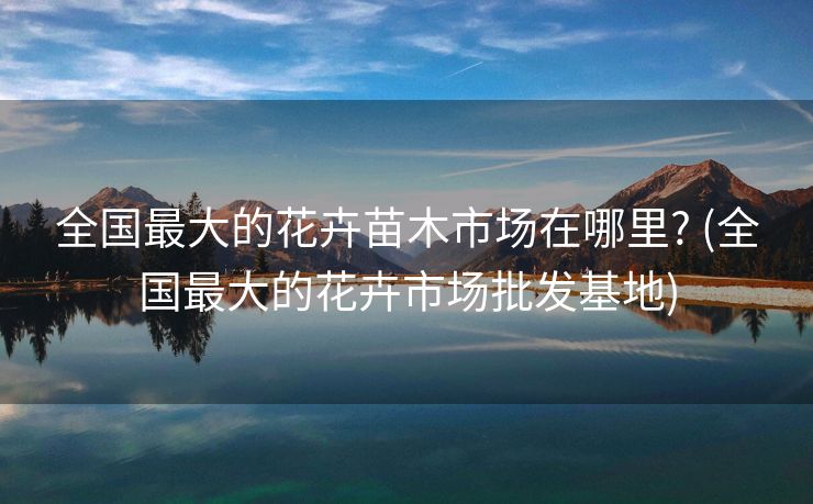 全国最大的花卉苗木市场在哪里? (全国最大的花卉市场批发基地)