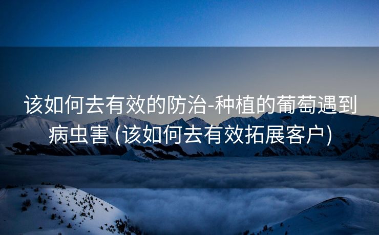 该如何去有效的防治-种植的葡萄遇到病虫害 (该如何去有效拓展客户)
