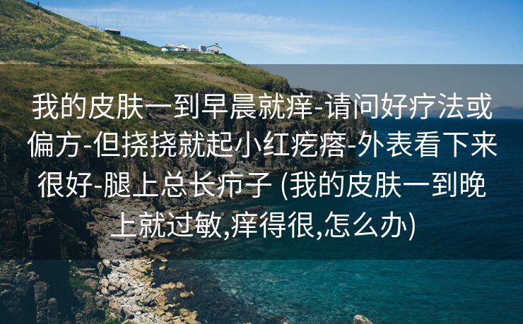 我的皮肤一到早晨就痒-请问好疗法或偏方-但挠挠就起小红疙瘩-外表看下来很好-腿上总长疖子 (我的皮肤一到晚上就过敏,痒得很,怎么办)