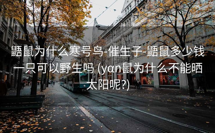 鼯鼠为什么寒号鸟-催生子-鼯鼠多少钱一只可以野生吗 (yαn鼠为什么不能晒太阳呢?)