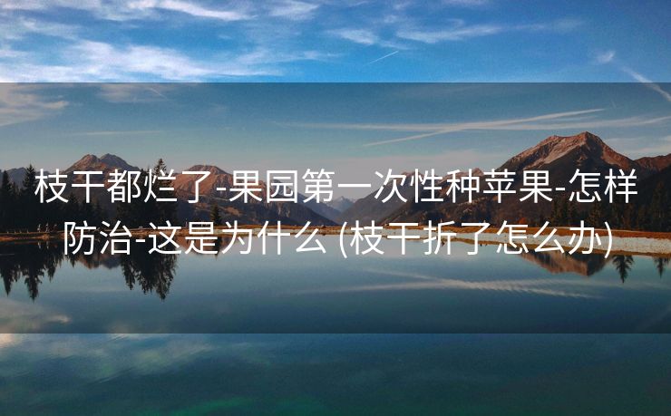 枝干都烂了-果园第一次性种苹果-怎样防治-这是为什么 (枝干折了怎么办)