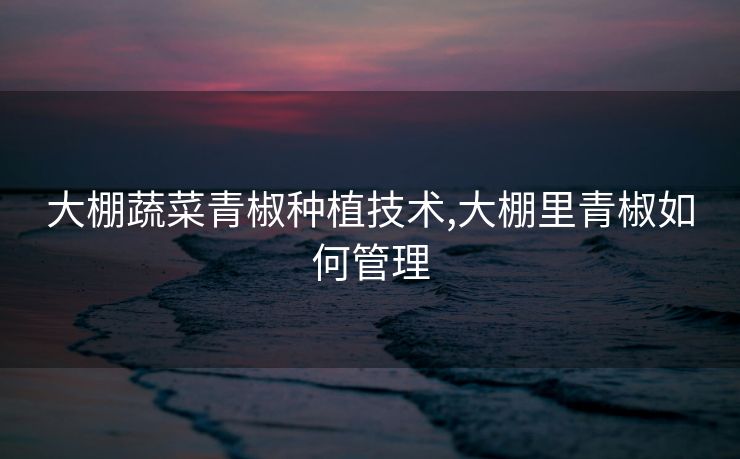 大棚蔬菜青椒种植技术,大棚里青椒如何管理