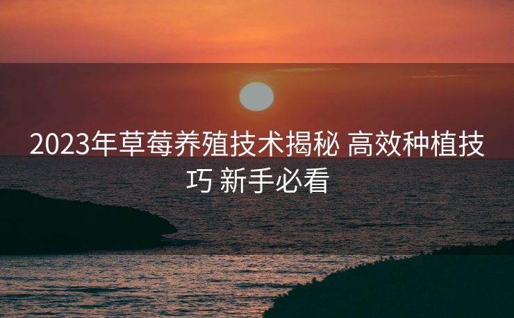 2023年草莓养殖技术揭秘 高效种植技巧 新手必看