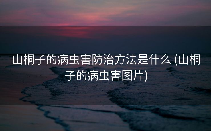 山桐子的病虫害防治方法是什么 (山桐子的病虫害图片)
