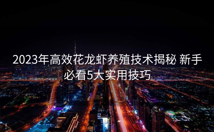 2023年高效花龙虾养殖技术揭秘 新手必看5大实用技巧