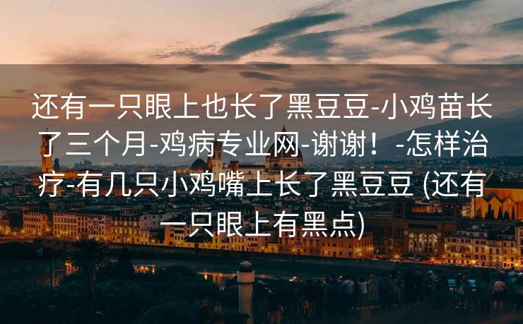 还有一只眼上也长了黑豆豆-小鸡苗长了三个月-鸡病专业网-谢谢！-怎样治疗-有几只小鸡嘴上长了黑豆豆 (还有一只眼上有黑点)