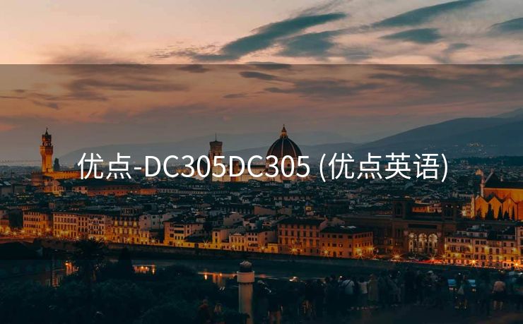 优点-DC305DC305 (优点英语)