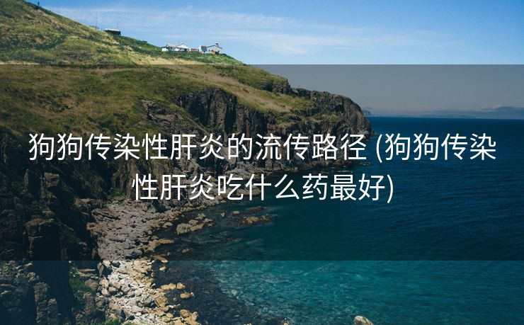 狗狗传染性肝炎的流传路径 (狗狗传染性肝炎吃什么药最好)