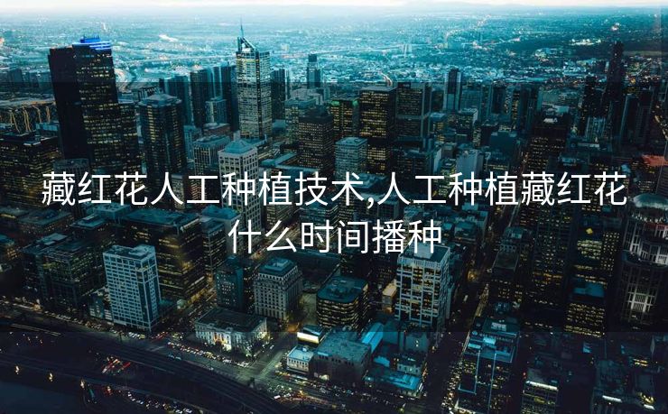 藏红花人工种植技术,人工种植藏红花什么时间播种