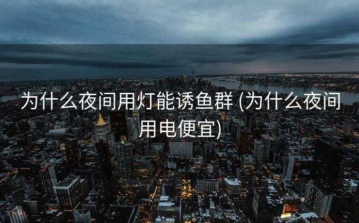 为什么夜间用灯能诱鱼群 (为什么夜间用电便宜)