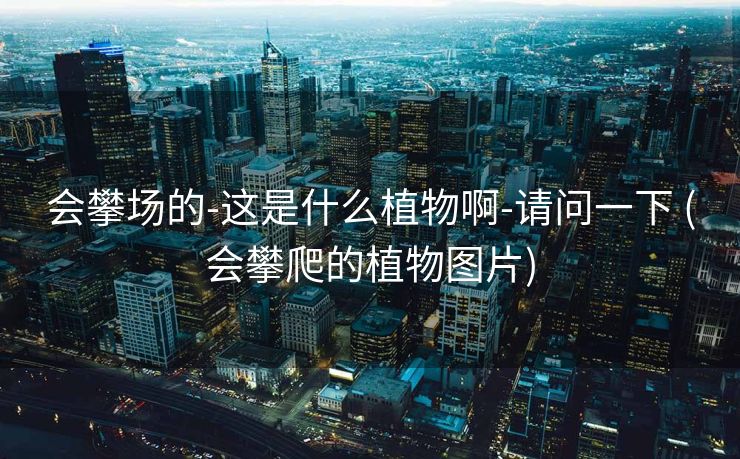 会攀场的-这是什么植物啊-请问一下 (会攀爬的植物图片)