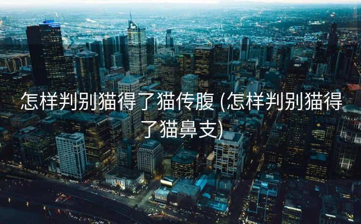 怎样判别猫得了猫传腹 (怎样判别猫得了猫鼻支)