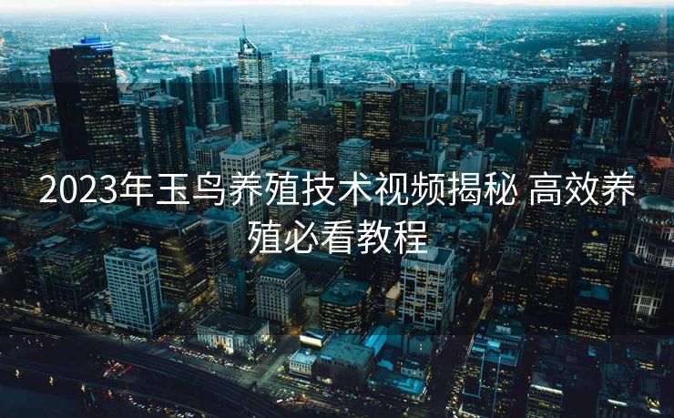 2023年玉鸟养殖技术视频揭秘 高效养殖必看教程