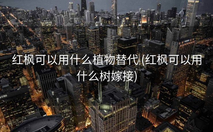 红枫可以用什么植物替代 (红枫可以用什么树嫁接)