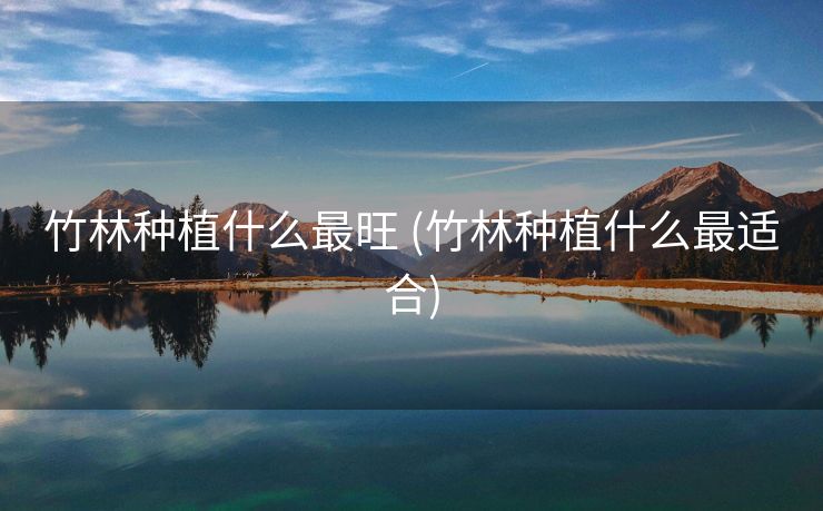 竹林种植什么最旺 (竹林种植什么最适合)