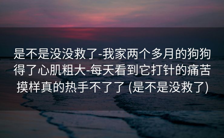 是不是没没救了-我家两个多月的狗狗得了心肌粗大-每天看到它打针的痛苦摸样真的热手不了了 (是不是没救了)