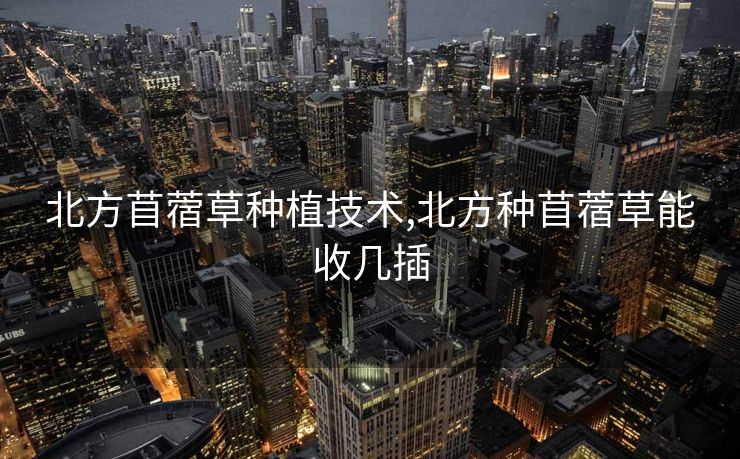 北方苜蓿草种植技术,北方种苜蓿草能收几插