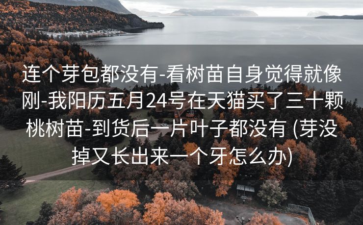连个芽包都没有-看树苗自身觉得就像刚-我阳历五月24号在天猫买了三十颗桃树苗-到货后一片叶子都没有 (芽没掉又长出来一个牙怎么办)