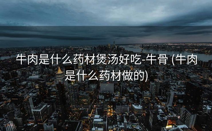 牛肉是什么药材煲汤好吃-牛骨 (牛肉是什么药材做的)
