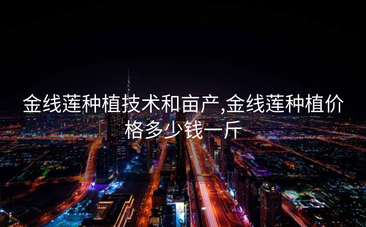 金线莲种植技术和亩产,金线莲种植价格多少钱一斤