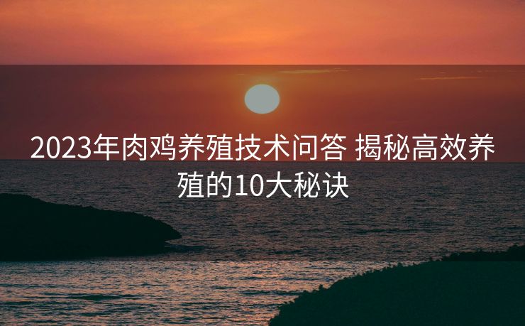 2023年肉鸡养殖技术问答 揭秘高效养殖的10大秘诀