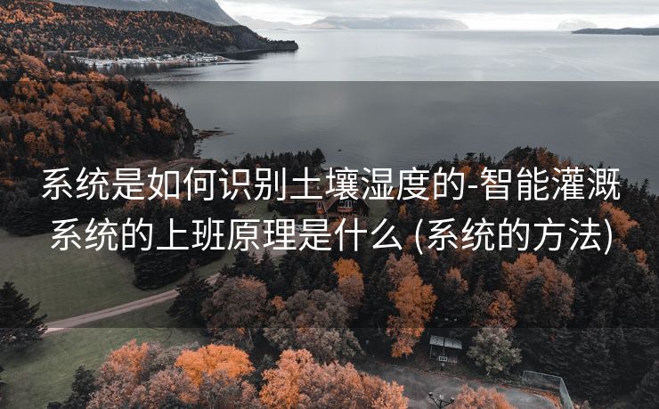 系统是如何识别土壤湿度的-智能灌溉系统的上班原理是什么 (系统的方法)