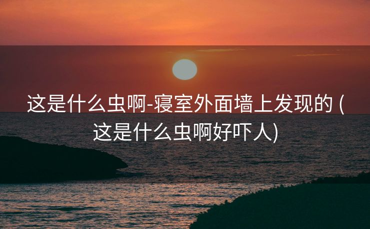 这是什么虫啊-寝室外面墙上发现的 (这是什么虫啊好吓人)