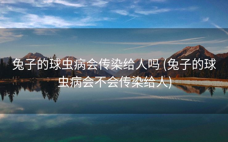 兔子的球虫病会传染给人吗 (兔子的球虫病会不会传染给人)