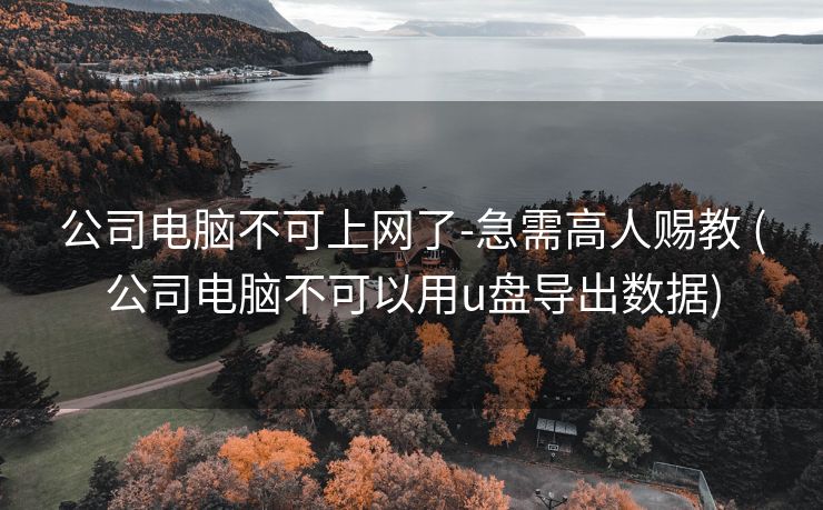公司电脑不可上网了-急需高人赐教 (公司电脑不可以用u盘导出数据)