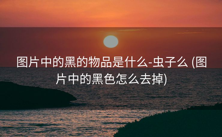 图片中的黑的物品是什么-虫子么 (图片中的黑色怎么去掉)