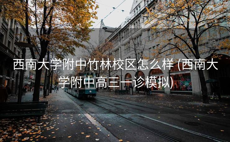 西南大学附中竹林校区怎么样 (西南大学附中高三一诊模拟)