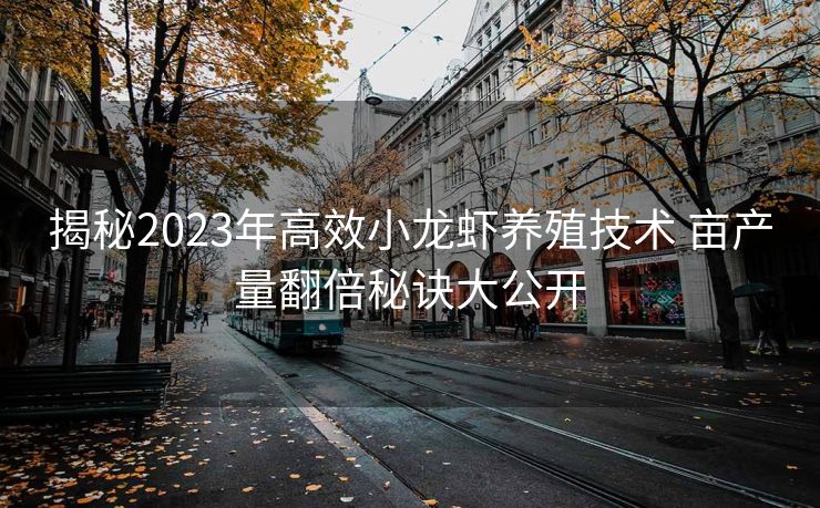 揭秘2023年高效小龙虾养殖技术 亩产量翻倍秘诀大公开