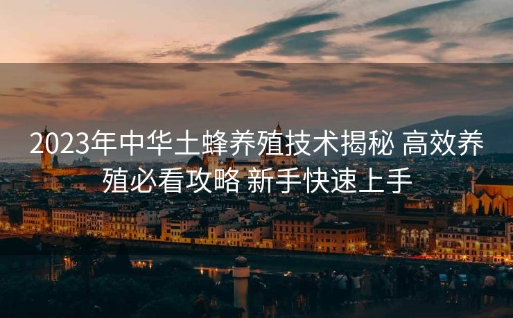 2023年中华土蜂养殖技术揭秘 高效养殖必看攻略 新手快速上手