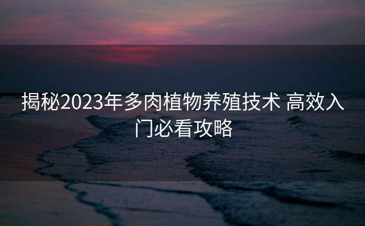 揭秘2023年多肉植物养殖技术 高效入门必看攻略