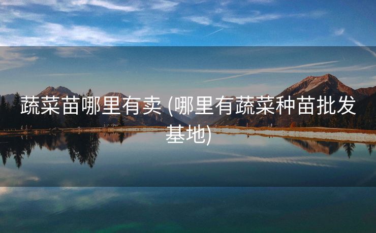 蔬菜苗哪里有卖 (哪里有蔬菜种苗批发基地)