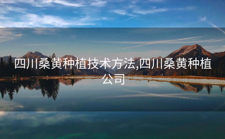 四川桑黄种植技术方法,四川桑黄种植公司