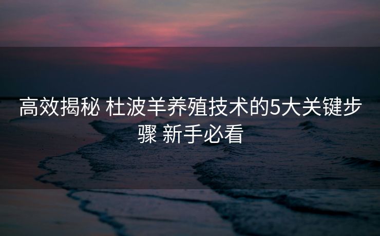 高效揭秘 杜波羊养殖技术的5大关键步骤 新手必看