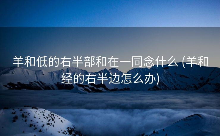 羊和低的右半部和在一同念什么 (羊和经的右半边怎么办)