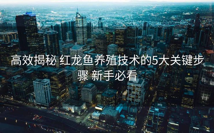 高效揭秘 红龙鱼养殖技术的5大关键步骤 新手必看