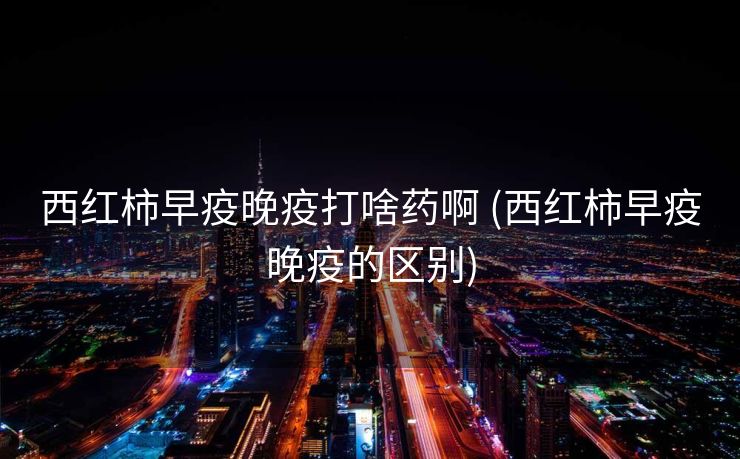 西红柿早疫晚疫打啥药啊 (西红柿早疫晚疫的区别)