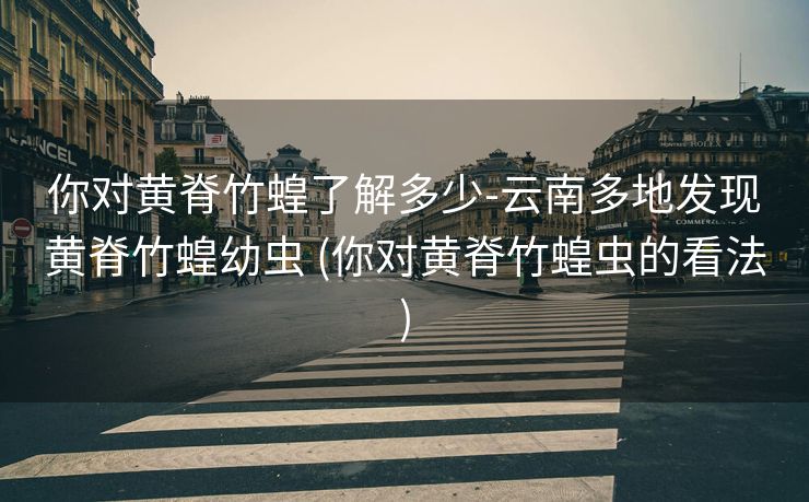 你对黄脊竹蝗了解多少-云南多地发现黄脊竹蝗幼虫 (你对黄脊竹蝗虫的看法)