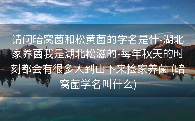 请问暗窝菌和松黄菌的学名是什-湖北家养菌我是湖北松滋的-每年秋天的时刻都会有很多人到山下来捡家养菌 (暗窝菌学名叫什么)