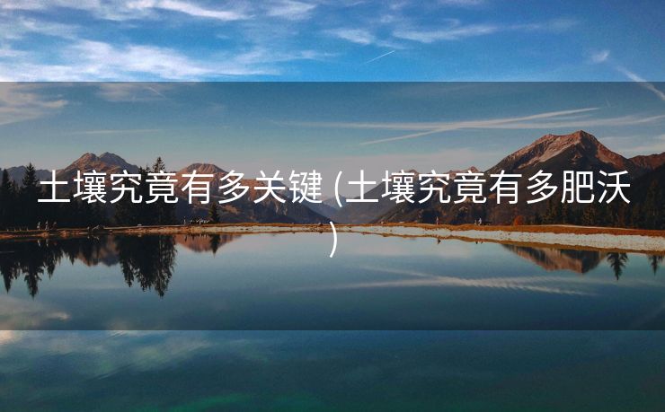 土壤究竟有多关键 (土壤究竟有多肥沃)